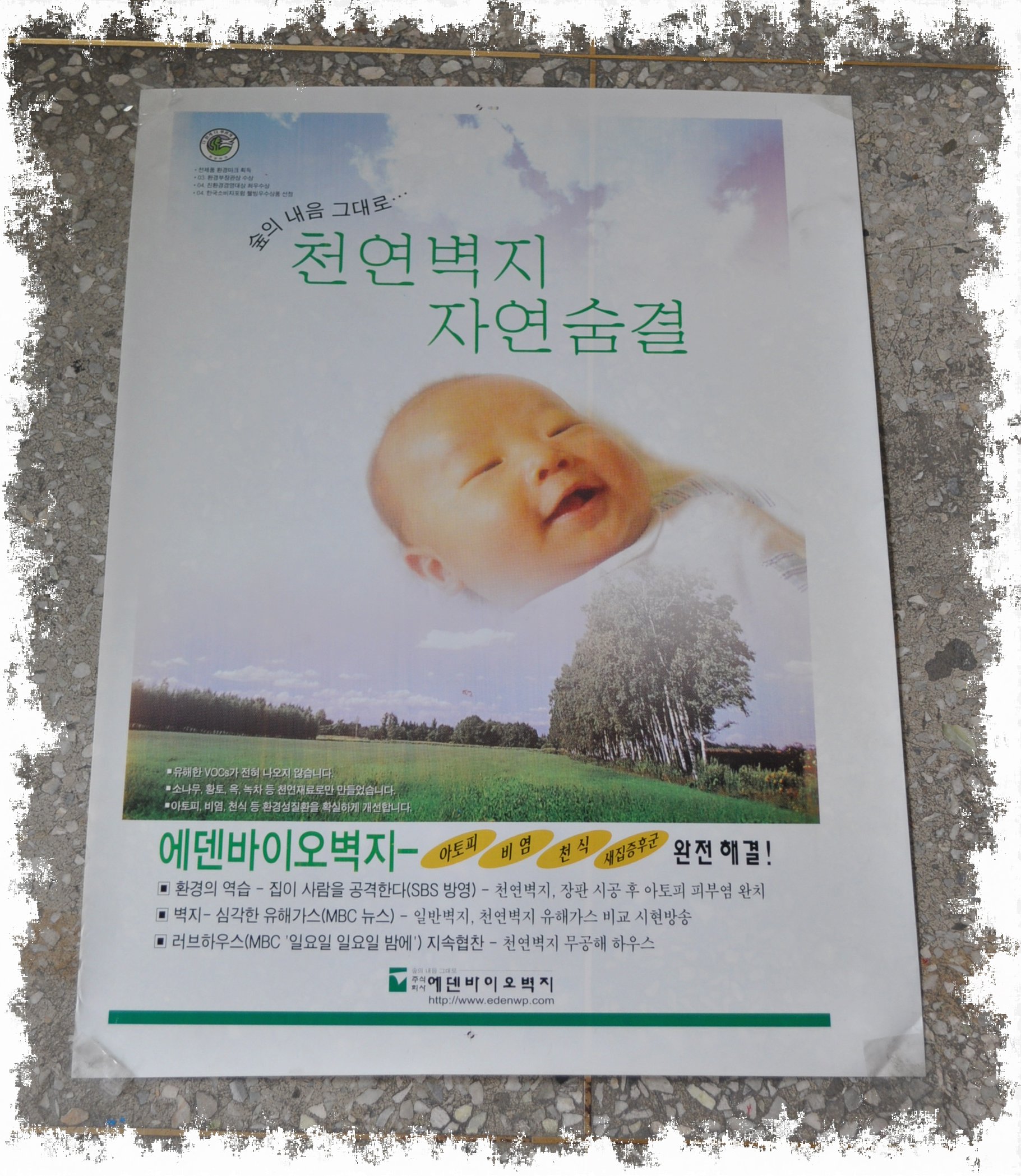 3695294320_4c9KsJ50_14376a89181dc266bc2868d35f86fd943794ff0d.jpg 이미지크게보기